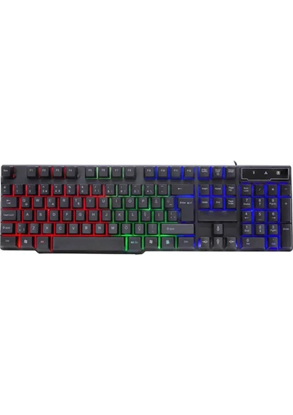 RealForce KM-G77 RGB USB Aydınlatmalı Klavye Mouse Set Siyah (TR-Q)