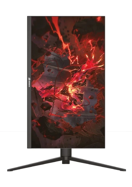GameBooster GB-2716FF PLUS 27” 165Hz 0.5ms SS IPS FreeSync RGB Gaming Monitör